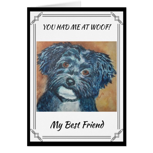 SWEET BLACK HAVANESE (Vorne)