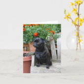 Sweet Black Pug Note Card - blank Karte (Gelbe Blume)