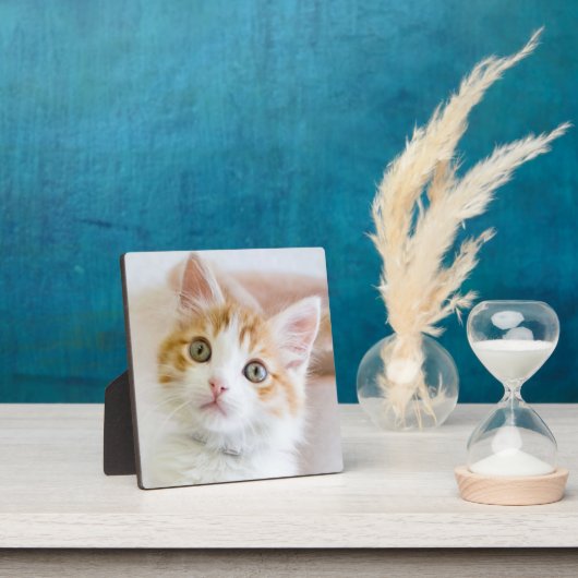 Sweet Blue Mit Augen Kitty Fotoplatte (InSitu)