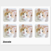 Sweet Blue Mit Augen Kitty Quadratischer Aufkleber (Blatt)