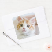 Sweet Blue Mit Augen Kitty Quadratischer Aufkleber (Umschlag)