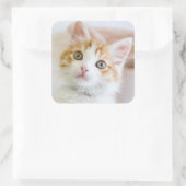 Sweet Blue Mit Augen Kitty Quadratischer Aufkleber (Tasche)