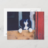 Sweet Border Collie Puppy Dockkarte Postkarte (Vorne/Hinten)