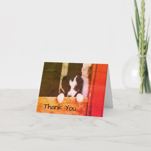 Sweet Border Collie Puppy Dog Art Danke Karte (Vorderseite)