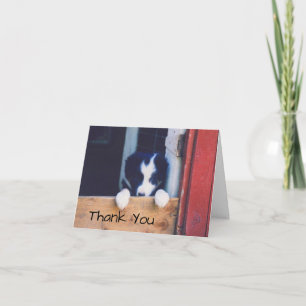 Sweet Border Collie Welpe Hund Danke Karte
