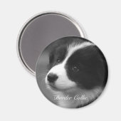 Sweet Border Collie Welpe Magnet (Vorderseite/Rückseite)