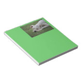 Sweet Boxer Puppy Notizblock (angewinkelt)