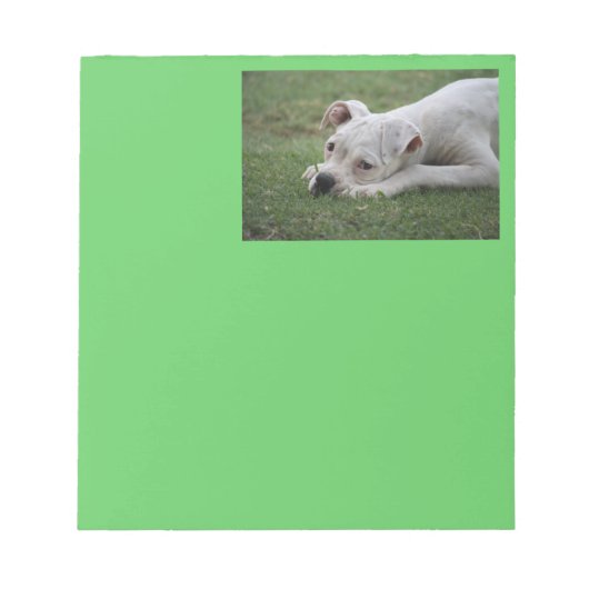 Sweet Boxer Puppy Notizblock (Vorderseite)