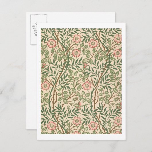 "Sweet Briar"-Design für Tapeten, gedruckt von Joh Postkarte (Vorne/Hinten)