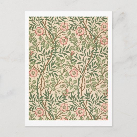 "Sweet Briar"-Design für Tapeten, gedruckt von Joh Postkarte (Vorderseite)