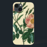 Sweet Briar Rose Case-Mate iPhone Hülle<br><div class="desc">floral</div>