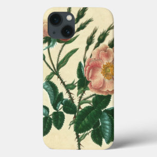 Sweet Briar Rose Case-Mate iPhone Hülle