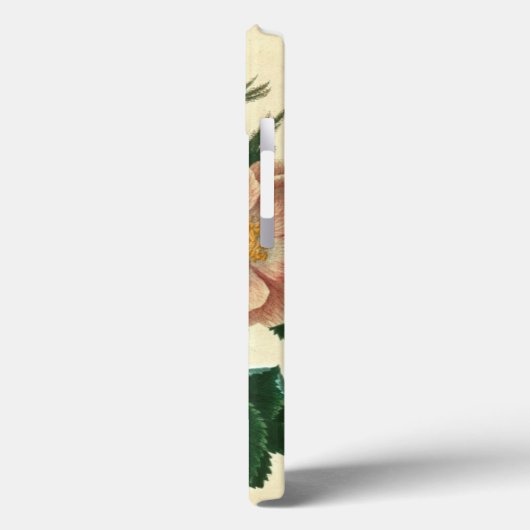 Sweet Briar Rose Case-Mate iPhone Hülle (Rückseite / Links)