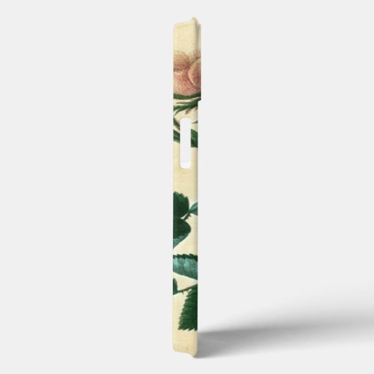 Sweet Briar Rose Case-Mate iPhone Hülle (Rückseite / Rechts)