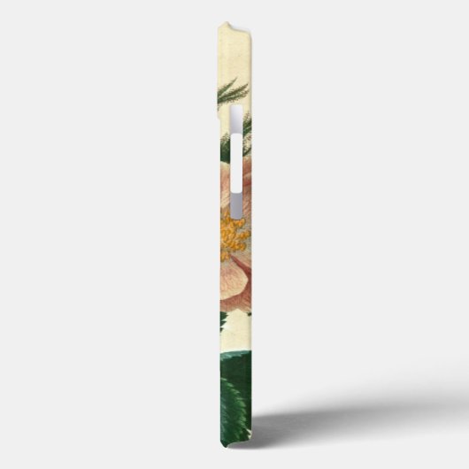 Sweet Briar Rose Case-Mate iPhone Hülle (Rückseite / Links)