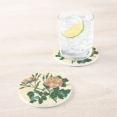 Sweet Briar Rose Getränkeuntersetzer (Seite)