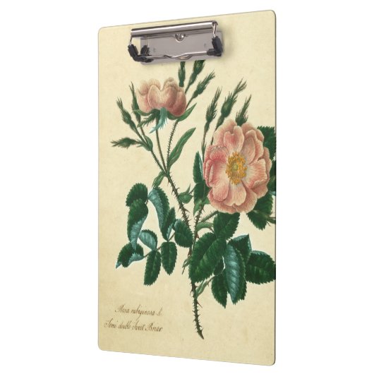 Sweet Briar Rose Klemmbrett (Links)