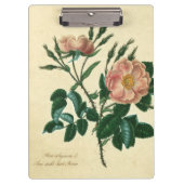 Sweet Briar Rose Klemmbrett (Vorderseite)