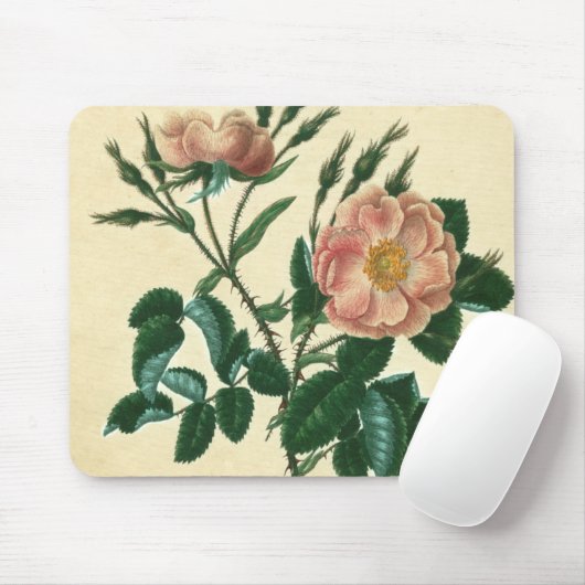 Sweet Briar Rose Mousepad (Mit Mouse)