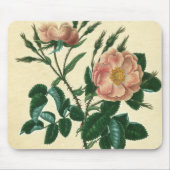 Sweet Briar Rose Mousepad (Vorne)