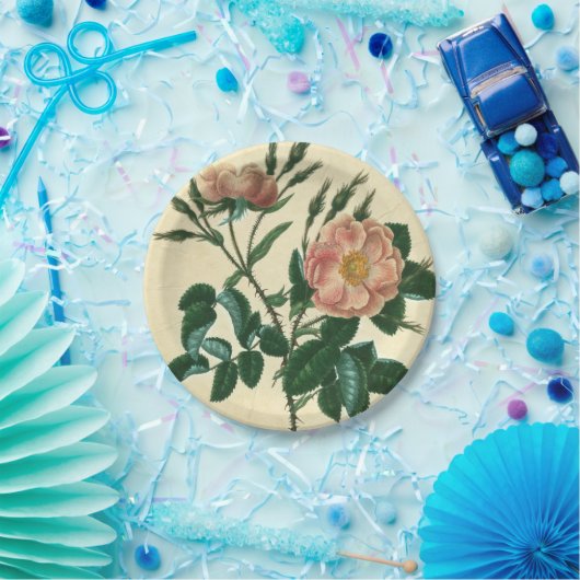 Sweet Briar Rose Pappteller (Party)