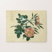 Sweet Briar Rose Puzzle (Horizontal)