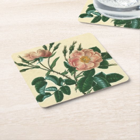 Sweet Briar Rose Rechteckiger Pappuntersetzer (angewinkelt)