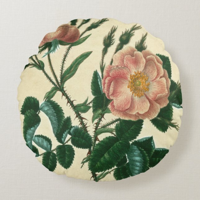 Sweet Briar Rose Rundes Kissen (Vorderseite)