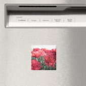 Sweet Bright Chrysanthemums Magnet (In Situ (Geschirrspüler))