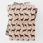 Sweet Bucks Geschenkpapier Set (Beispiel)