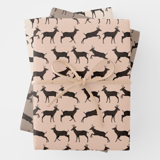 Sweet Bucks Geschenkpapier Set (Beispiel)