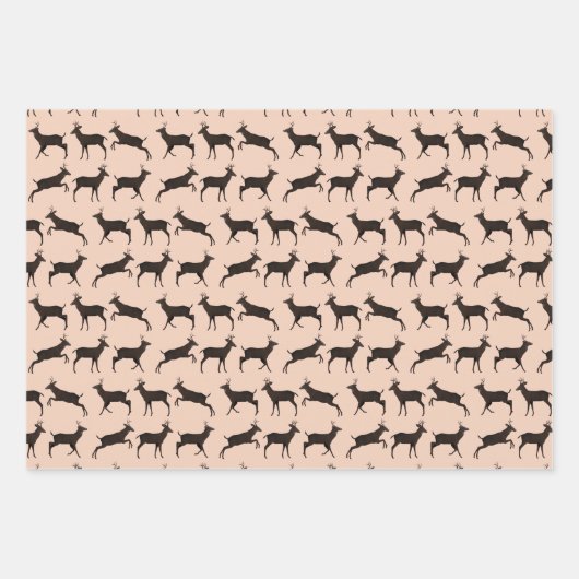 Sweet Bucks Geschenkpapier Set (Vorderseite)