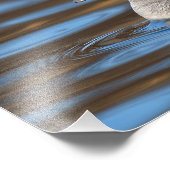 Sweet Bufflehead Duck in sonnenbeleuchteten Gewäss Fotodruck (Ecke)