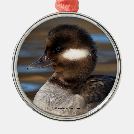 Sweet Bufflehead Duck in sonnenbeleuchteten Gewäss Ornament Aus Metall (Vorne)