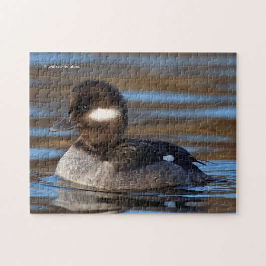 Sweet Bufflehead Duck in sonnenbeleuchteten Gewäss Puzzle (Horizontal)