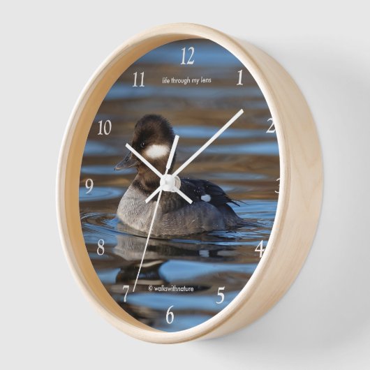 Sweet Bufflehead Duck in sonnenbeleuchteten Gewäss Wanduhr (Winkel)