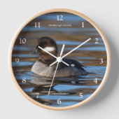Sweet Bufflehead Duck in sonnenbeleuchteten Gewäss Wanduhr (Vorderseite)