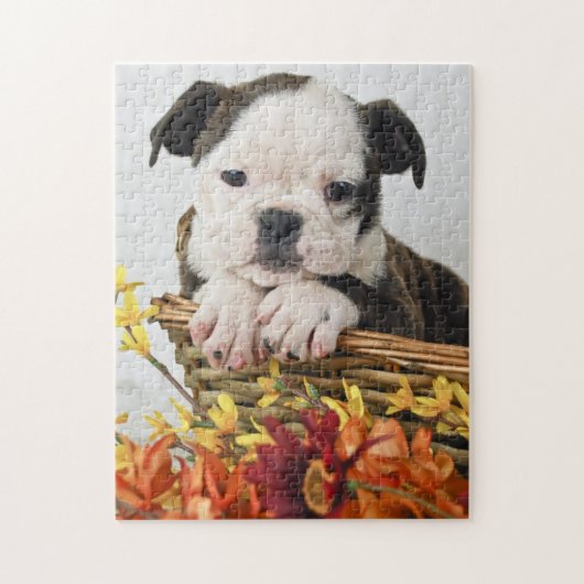 Sweet Bulldog Puppy Puzzle (Vertikal)