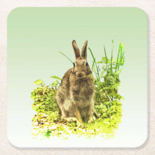 Sweet Bunny Rabbit in Grass Paper Untersetzer