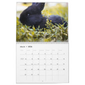 Sweet Bunny Rabbits 2024 Kalender (Mär 2026)
