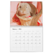 Sweet Bunny Rabbits 2024 Kalender (Feb 2026)