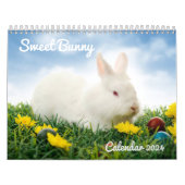 Sweet Bunny Rabbits 2024 Kalender (Titelbild)