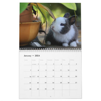 Sweet Bunny Rabbits 2024 Kalender