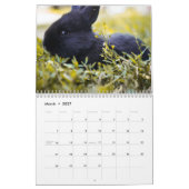 Sweet Bunny Rabbits 2024 Kalender (Mär 2027)