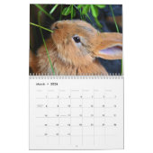 Sweet Bunny Rabbits 2026 Kalender (Mär 2026)