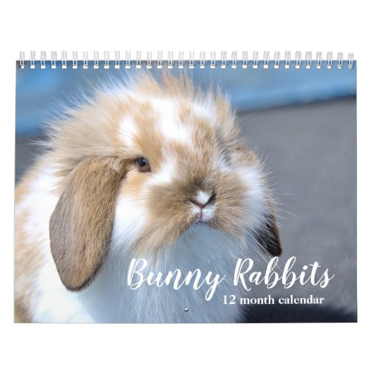 Sweet Bunny Rabbits 2026 Kalender (Titelbild)