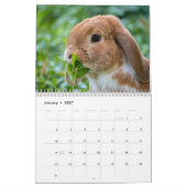 Sweet Bunny Rabbits 2026 Kalender (Jan 2027)