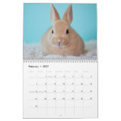 Sweet Bunny Rabbits 2026 Kalender (Feb 2027)