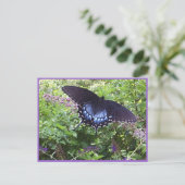 Sweet Butterfly Postcard Postkarte (Stehend Vorderseite)