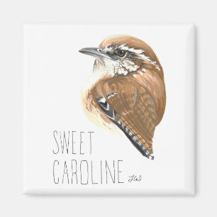 Sweet Caroline (Carolina Wren) Magnet